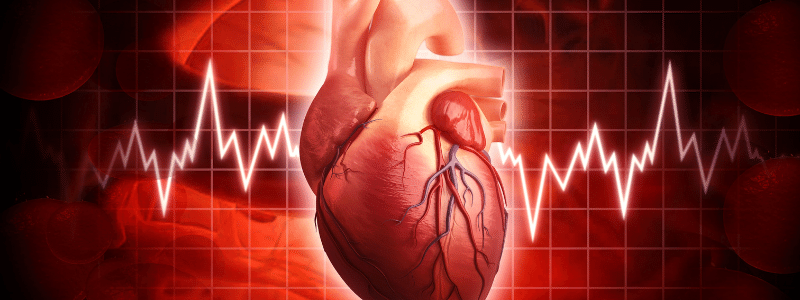 Transportation in Human Beings - Circulatory System